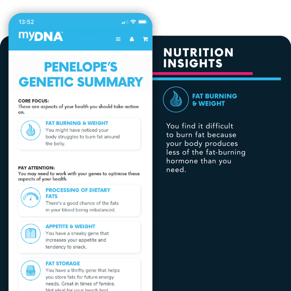 myDNA-product-screens_nutrition-insights_web